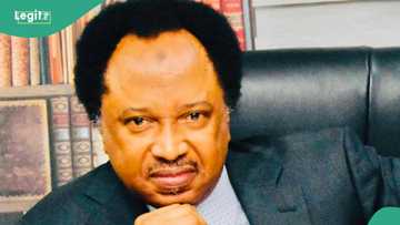 As Nigeria battles banditry and terrorism, Shehu Sani discloses challenges' differences