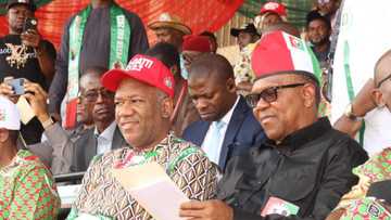 2023: Trouble as Labour Party chairperson allegedly working for PDP diverts N21m meant for Peter Obi's rally