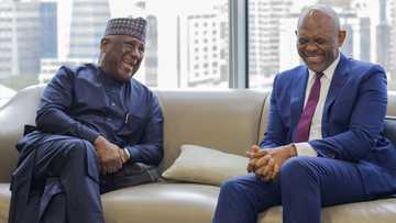 Rabiu, Elumelu Align on Capital and Industrial Expansion as BUA Foods Posts N1.77trillion Revenue