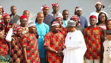 Zamu goyi bayan Igbo ya zama shugaban ƙasa a 2023 - Sarkin Hausawa