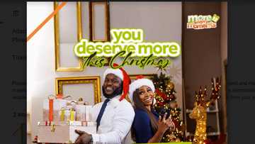 XtraWins: Access Bank Launches 12 Days of Christmas Campaign to Delight Customers