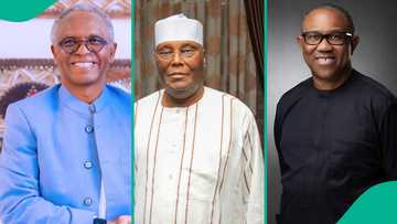 Peter Obi, Atiku, or El-Rufai? Who will ADC choose as presidential candidate? We asked ChatGPT