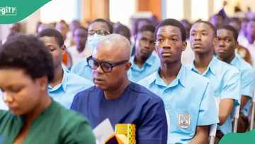 WAEC told to remark WASSCE 2025, "abnormal conditions"