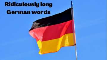 30+ ridiculously long German words and their meanings in English