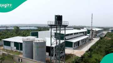 Neveah Commences Production at its new 44,000 MT Recycling Plant
