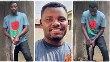 "I started with 100 fishes": Auchi Poly graduate becomes successful fish farmer after starting small