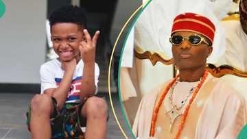 Heartwarming moment as Wizkid brings out son Zion on stage at Hollywood Bowl concert in Los Angeles