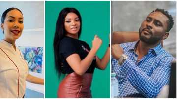 BBNaija drama: New housemate Queen confronts Maria over an issue about Pere