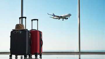 Why Travel Insurance for International Trips is a Must-Have in 2026!