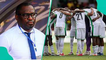 Nigeria on alert as Gabon coach's secret plan to beat Super Eagles leaks
