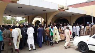 Al'ummar Gaya, Rano, Bichi da Karaye sunyi tururuwa zuwa majalisar Kano don nuna farin ciki