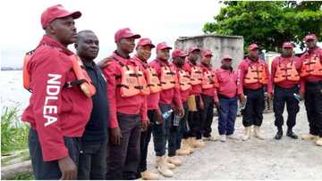 How to Apply as NDLEA begins recruitment of fresh graduates