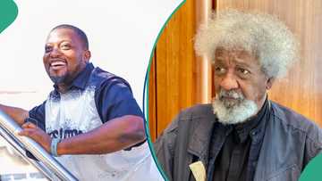 APC youth leader rejects Soyinka’s attack on Seyi Tinubu’s security detail