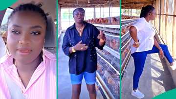 Poultry farmer who visited her property without telling anyone cries out, shares what she found inside