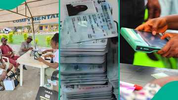 INEC warns of 'security risks' as voter registration stalls in 4 Borno LGAs, shares new plan