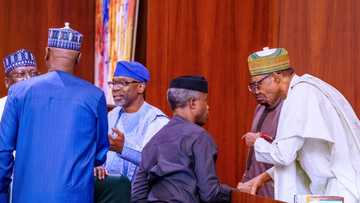 SERAP ta shigar da karar Buhari da Osinbajo a kotun daukaka kara saboda sabawa doka