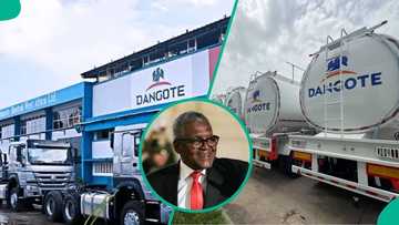 Dangote Refinery fuel rollout stalled by China logistics: Only 450 of 4,000 trucks delivered