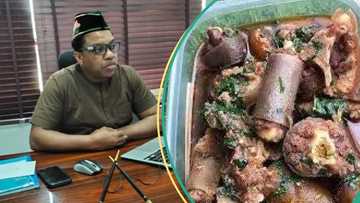 Nigerian lawmakers reject motion to ban dog meat consumption