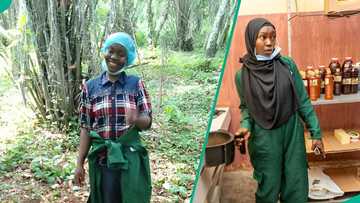 From teacher to N170m palm oil entrepreneur: Safiyat Bello shares her inspiring story