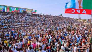 Kamfen: Taron yakin neman zaben Buhari a Damaturu ya bayar da mamaki, hotuna