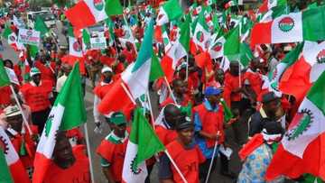 ASUU strike: NLC declares nationwide protest, announces dates