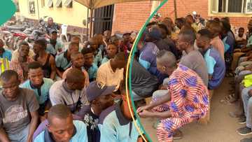 Lagos taskforce apprehends 51 notorious members harassing truck drivers