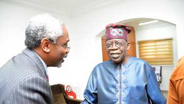 Gbajabiamila hails Tinubu, says no Nigerian is passionate about politics like ex-Lagos governor