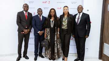 UBA Business Series: Experts say innovation, passion are crucial to building successful businesses