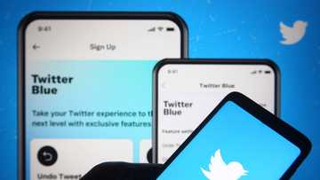 Thank God for VPN: Nigerians react as telcos block access to Twitter