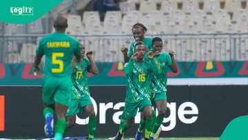 Beat Super Eagles and get $150,000: Zimbabwe President tells players ahead of WCQ