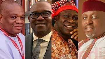 2023: An bayyana sunayen yan takara 10 da ka iya maye gurbin Buhari daga kudu maso gabas
