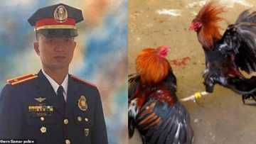 Zakara ya kashe jami'in dan sanda har lahira da wuka