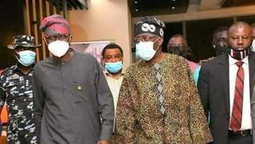 2023 presidency: Group speaks on Tinubu's victory, reveals zone that will give APC chieftain 12m votes