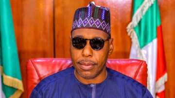 Da Taimakon Ƴan Sintiri, Maiduguri Ta Fi Abuja Tsaro, Gwamna Zulum