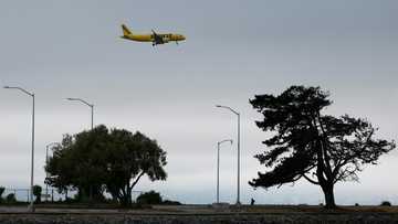 US Spirit Airlines files for bankruptcy again