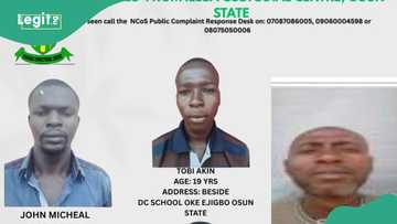 Osun prison break: FG places N5m bounty on fleeing inmates, shares photos