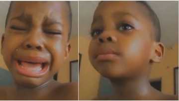 Cute little boy cries uncontrollably as mum says he's not her best friend, many react to heartwarming video