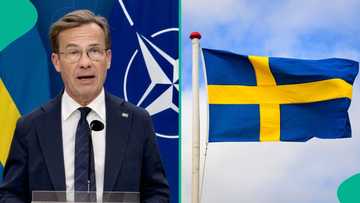 Sweden releases list of 21 categories of people allowed to work without permit in the country