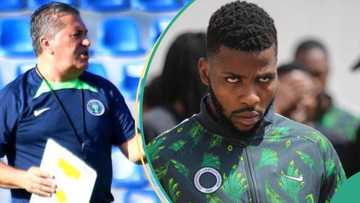 AFCON 2023: Super Eagles coach, Peseiro speaks on match Iheanacho will play for Nigeria