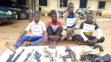 'Yan sanda sun damke 'yan fashi 7 da suka addabi jihar Adamawa (Hotuna)