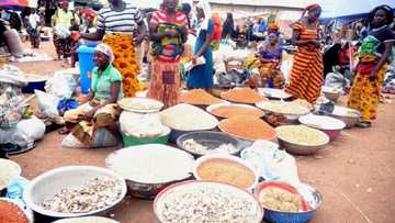 Kano, Kaduna, Borno Da Wasu Jihohi 18 Da Ka Iya Fuskantar Yunwa, Rahoto