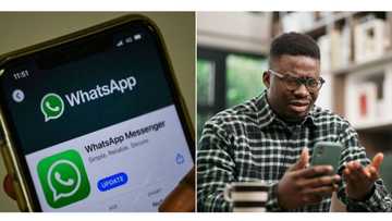 WhatsApp releases compatible iPhone, Android devices, asks users to update their iOS