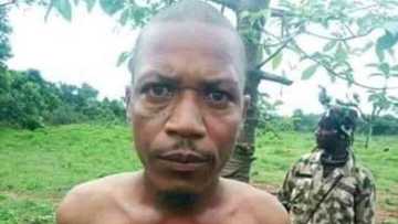 Idan kaji ki gudu, sa gudu ne bai zo ba: Kalli yadda Sojoji suka kama shugaban masu garkuwa