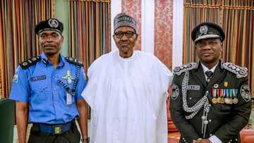 Duka shugabannin ‘Yan Sanda 20 da aka yi a tarihi tun daga 1960 zuwa yau