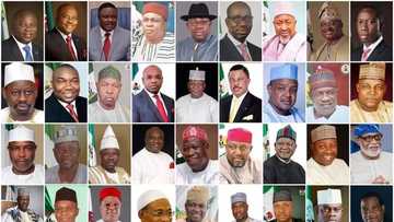 Babbar magana: Duk 'yan siyasar Najeriya matsafa ne - In ji wani dan majalisa