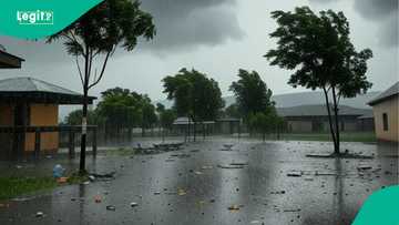 NiMet: Za a sheka ruwan sama a Bauchi, Kano, Zamfara da jihohi 18 a ranar Juma'a