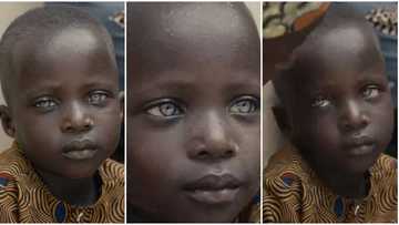 Ravishing cutie: Handsome little boy with glowing black skin and strange eyeballs stuns many, video goes viral
