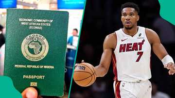 How Greece blocked NBA star Giannis Antetokounmpo from getting a Nigerian passport