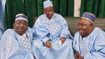 Ganduje ne ya taimaka mini na lashe zabe - Dan Kwankwasiyya da ya kada Jibrin Kofa