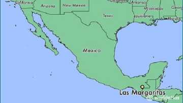 Wasu mabiya sun ja shugabansu a kasa akan rashin cika alkawurran da ya dauka kafin zabensa